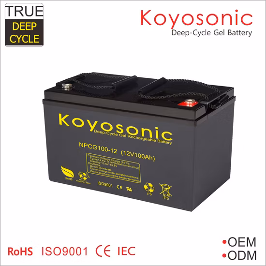 Batteries haute température 12V100ah longue durée 150ah 200ah 250ah 270ah 300ah batterie gel