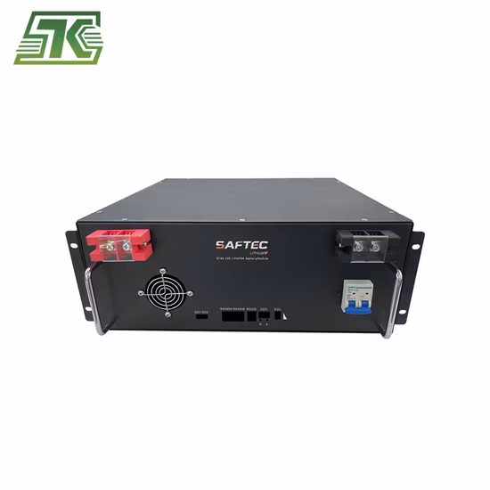 Rechargeable Lithium Battery Pack 51.2V 48V 100ah 150ah 200ah 300ah Li-ion/ Lithium Ion LiFePO4 Rack Battery for UPS Home Solar Energy Storage System Powerwall